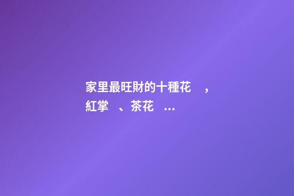家里最旺財的十種花，紅掌、茶花、鳳梨花等
